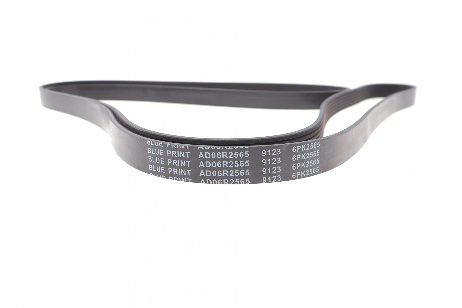 AD06R2565 BLUE PRINT